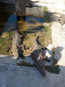 Click image for larger version
Name: IMG_20180811_155958_4.jpg
Views: 1
Size: 939.7 KB
ID: 17553